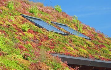 Kempston Hardwick living roof systems
